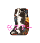 ぐれこさん（個別スタンプ：3）