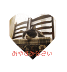 ぐれこさん（個別スタンプ：6）