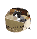 ぐれこさん（個別スタンプ：14）