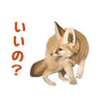 わがままなウサギ ほほえみフレンズ（個別スタンプ：9）