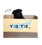 黒パグ源の敬語と日常使い（ほんわか編）（個別スタンプ：9）