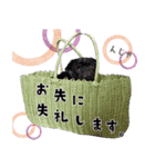 黒パグ源の敬語と日常使い（ほんわか編）（個別スタンプ：10）