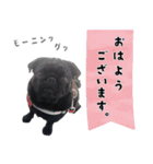 黒パグ源の敬語と日常使い（ほんわか編）（個別スタンプ：12）