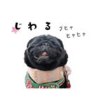 黒パグ源の敬語と日常使い（ほんわか編）（個別スタンプ：19）