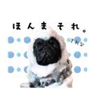 黒パグ源の敬語と日常使い（ほんわか編）（個別スタンプ：23）