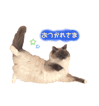 チェルミちゃん（個別スタンプ：3）