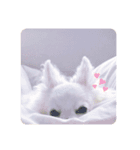 チワワのショコラくん2（個別スタンプ：8）