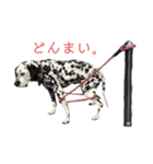 クッキーtanaka（個別スタンプ：13）