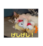 りんりんスタンプ4（個別スタンプ：6）