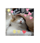 りんりんスタンプ4（個別スタンプ：23）