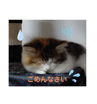 りんりんスタンプ4（個別スタンプ：26）