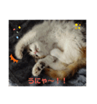 りんりんスタンプ4（個別スタンプ：32）