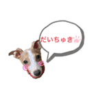ろにまる スタンプ（個別スタンプ：1）