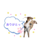 ろにまる スタンプ（個別スタンプ：2）