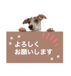 ろにまる スタンプ（個別スタンプ：4）