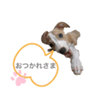 ろにまる スタンプ（個別スタンプ：9）