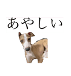 ろにまる スタンプ（個別スタンプ：11）
