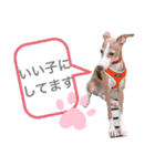 ろにまる スタンプ（個別スタンプ：13）