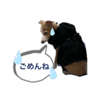 ろにまる スタンプ（個別スタンプ：16）