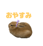 うさぎとトカゲ（個別スタンプ：8）