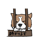 犬のクロ、敬語スタンプ（個別スタンプ：5）