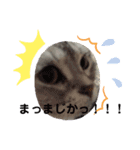 我が家の長女。7歳です。（個別スタンプ：21）