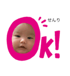 ぽこせんりすたんぷ（個別スタンプ：1）