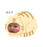 ぽこせんりすたんぷ（個別スタンプ：3）