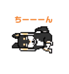 EZORISU HONEYS！ おちゃめなスタンプ！（個別スタンプ：15）