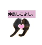 なっちゃんとこんちゃんスタンプだわよ。（個別スタンプ：4）