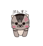 可愛い双子の子ねこ とらandおひげ（個別スタンプ：9）