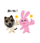 可愛いポメラニアンルル（個別スタンプ：8）