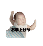 色々、いろたん（個別スタンプ：8）