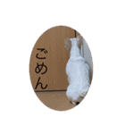 うめちんの日常（個別スタンプ：8）