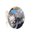 うめちんの日常（個別スタンプ：9）