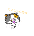 catcatcat_8（個別スタンプ：9）