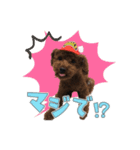 レオひな（個別スタンプ：4）