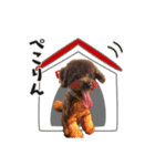 レオひな（個別スタンプ：5）