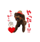 レオひな（個別スタンプ：6）