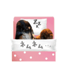 レオひな（個別スタンプ：7）