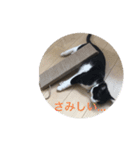 十夢君スタンプ改（個別スタンプ：7）