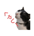 十夢君スタンプ改（個別スタンプ：11）