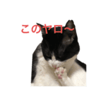 十夢君スタンプ改（個別スタンプ：18）