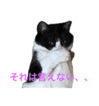 十夢君スタンプ改（個別スタンプ：19）