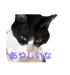 十夢君スタンプ改（個別スタンプ：22）