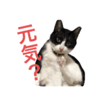 十夢君スタンプ改（個別スタンプ：24）