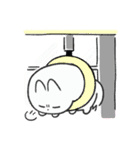 しろわんこもぐ丸（個別スタンプ：22）