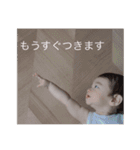 KOKO PUFF1（個別スタンプ：6）