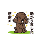 笑って使える♪動くトイプー（個別スタンプ：16）