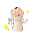 ひなこpart.1（個別スタンプ：5）